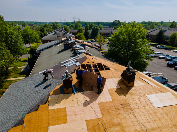 Roof Gutter Cleaning in Fort Defiance, AZ