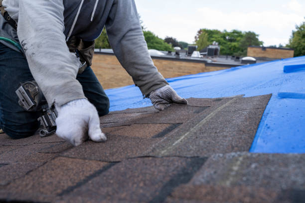 Best Roof Repair Services  in Fort Defiance, AZ