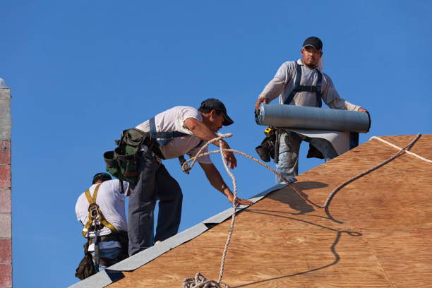 Professional Roofing Contractor in Fort Defiance, AZ