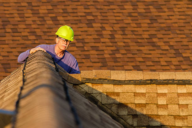 Best Shingle Roofing Installation  in Fort Defiance, AZ
