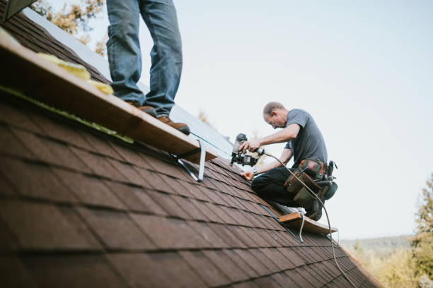 Best Residential Roofing Contractor  in Fort Defiance, AZ